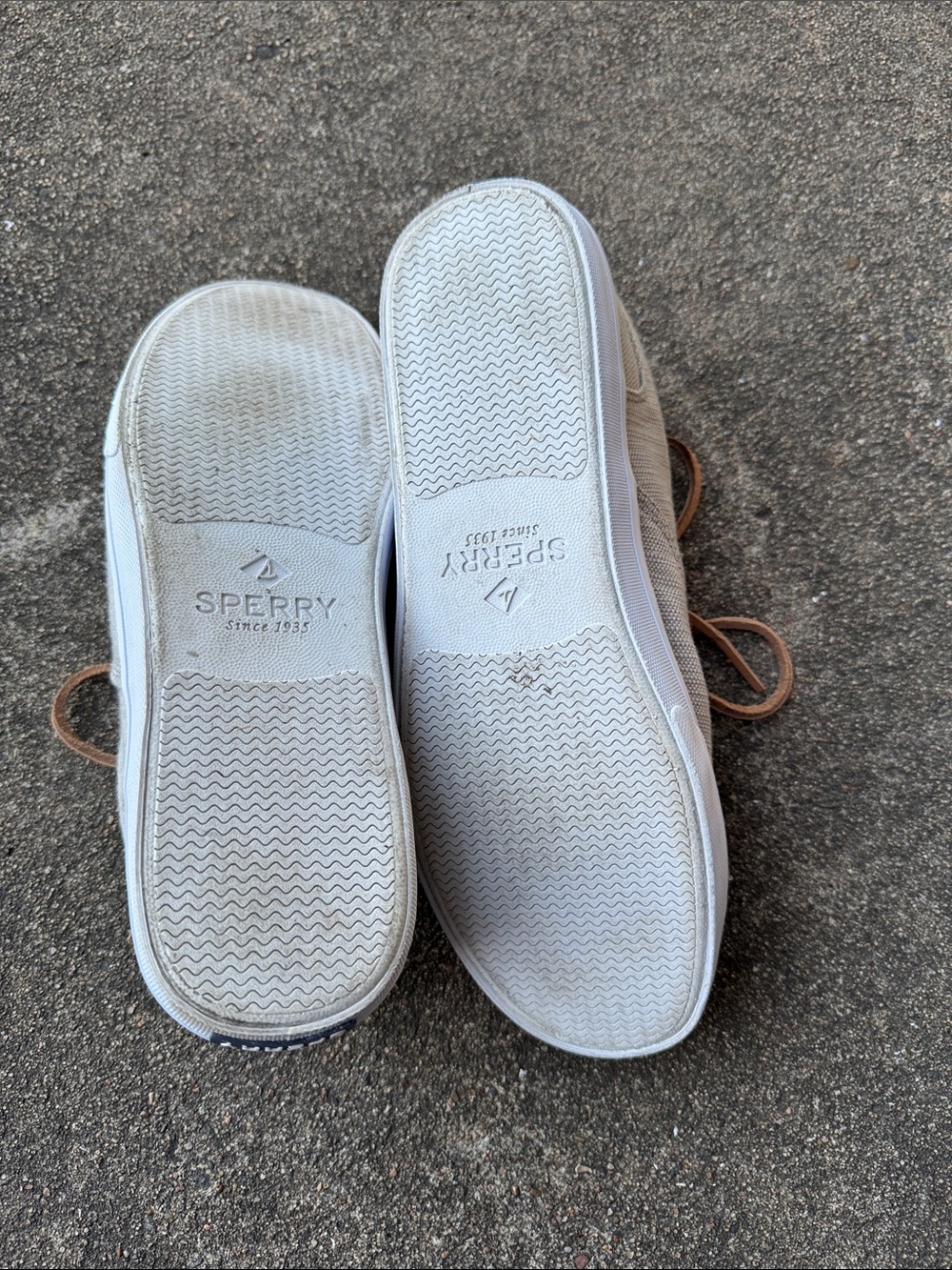 Sperry Light Gray Canvas Lace-Up Sneakers with Tan Laces - Picture 4 of 5